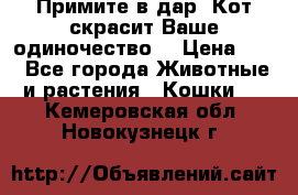 Примите в дар. Кот скрасит Ваше одиночество. › Цена ­ 0 - Все города Животные и растения » Кошки   . Кемеровская обл.,Новокузнецк г.